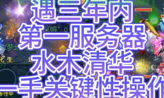 梦幻西藏服务器怎么进?