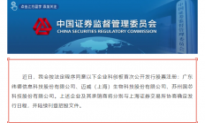 国芯科技通过科创板IPO注册 国家集成电路基金参股