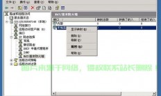 印能捷VPS缺失问题深度解析