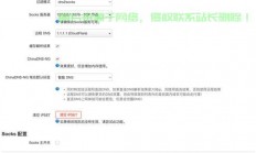 搬瓦工独家分享，VPS连接轻松上手技巧！