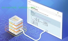 VPS SoftEther客户端使用指南，功能亮点一网打尽！